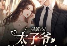 完結版《一見傾心：太子爺賴上小白兔》章節閱讀-極品小說