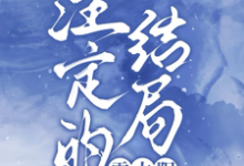 小說《註定的結局，雪太陽》完整版章節免費閱讀-極品小說