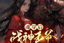 小說《魂穿後，戰神王爺非我不娶》完整版在線章節免費閱讀-極品小說