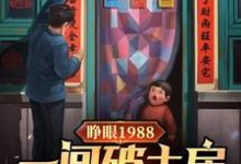 睜眼1988一間破土房倆沒娘娃小說有沒有完結版在線？-極品小說