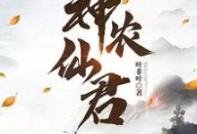 神農仙君小說的免費閱讀版本在哪裡可以找到？-極品小說