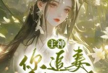 主神，你追妻又失敗了？夏溪蘇禮小說在線章節免費閱讀-極品小說