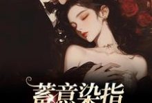 蓄意染指：大佬病態纏歡小說完結版章節免費閱讀-極品小說