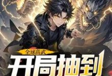 《全球高武，開局抽到荒古聖體》許天小說免費閱讀完整版-極品小說