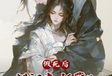 完整版《假死後，糙漢夫妖孽兒，兇猛跪追》小說免費閱讀-極品小說