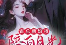 小說《霍總新婚夜陪白月光，我不幹了》完整版章節免費閱讀-極品小說