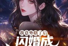 小說《我意外瞎了後，閃婚成前女友姑父》章節免費閱讀-極品小說