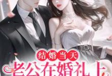 結婚當天，老公在婚禮上給白月光告白程綰陸硯深小說在線章節目錄閱讀最新章節-極品小說