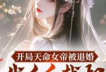 完結版《開局天命女帝被退婚，我反手截胡》章節目錄在線閱讀-極品小說