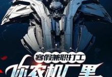 完結版《寒假兼職打工，你農機廠裡開出空天航母？》免費閱讀-極品小說