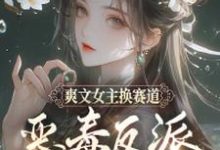 求爽文女主換賽道，惡毒反派我當定了小說免費資源-極品小說