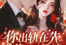 小說《你出軌在先，我離婚你哭什麼》在線章節閱讀-極品小說