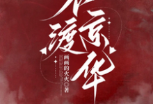 《不渡京華》謝音沈秉洲完整版小說免費閱讀-極品小說