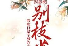 綜影視：別枝雀這本小說完結了嗎？免費查看最新章節-極品小說