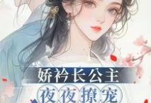 完整版小說《嬌矜長公主夜夜撩寵冷心暗衛》免費閱讀-極品小說