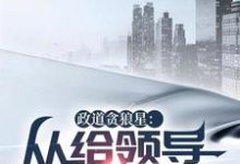 小說《政道貪狼星：從給領導平反開始》完整版章節免費閱讀-極品小說