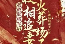 我救贖將軍後，權相追妻火葬場了小說有沒有完整的免費版本在線閱讀？-極品小說