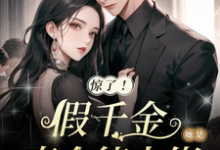 小說《驚了！假千金她是真全能大佬》章節免費閱讀-極品小說