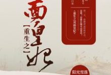 《重生之雙面皇妃》完整版小說免費閱讀-極品小說