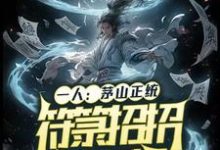 《一人：茅山正統，符籙招招毀滅級》小說章節列表免費試讀，張一凡小說在線閱讀-極品小說