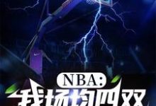 NBA：我場均四雙，得分為零（林白）完整版在線免費閱讀-極品小說