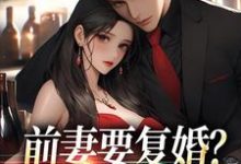 趙青峰白曉星完整版《前妻要復婚？我讓她跪著滾》小說免費閱讀-極品小說