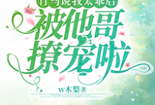 顧聲沈宴池小說完整版《竹馬說我太乖後，被他哥撩寵啦》免費閱讀-極品小說