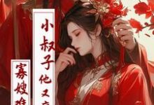 小說《寡嫂難當，小叔子他又瘋又旱》完整版在線章節免費閱讀-極品小說