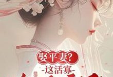 《娶平妻？這活寡我不守了！》青黛小說免費閱讀完整版-極品小說