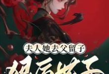 夫人她去父留子：狠厲世子紅了眼小說完結版章節免費閱讀-極品小說