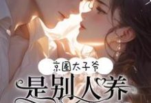 完結版《京圈太子爺！是別人養的小白臉》章節閱讀-極品小說