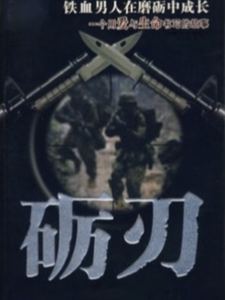 礪刃！完整版小說，礪刃！凌天翔