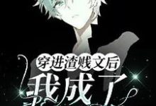 《【ABO】穿進渣賤文後我成了萬人迷》完整版小說免費閱讀-極品小說