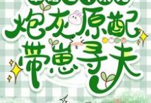 尋找軍婚七年未見，炮灰原配帶崽尋夫小說的最新更新章節-極品小說