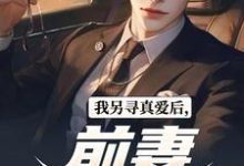 《我另尋真愛後，前妻後悔了》小說免費閱讀完整版-極品小說